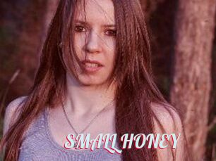 SMALL_HONEY