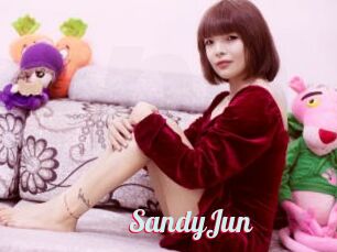 SandyJun