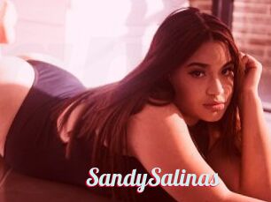 SandySalinas