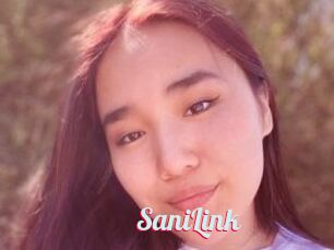 SaniLink