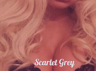 Scarlet_Grey