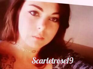 Scarletrose19