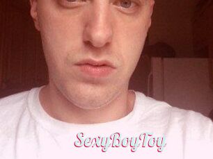 SexyBoyToy