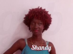 Shandy