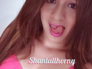 Shantallhorny