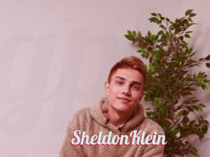 SheldonKlein