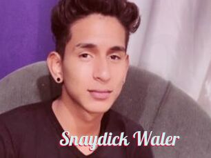 Snaydick_Waler