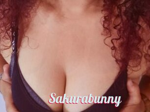 Sakurabunny