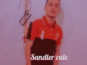 Sandler_cute