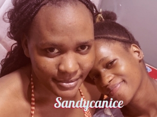 Sandycanice