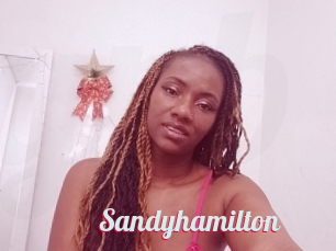 Sandyhamilton