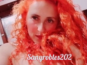 Sanyrobles202