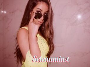 Selenaminx