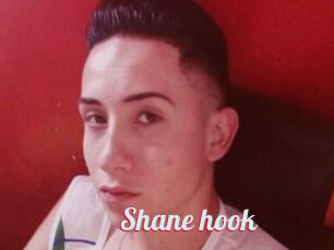 Shane_hook