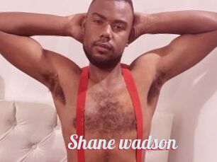 Shane_wadson