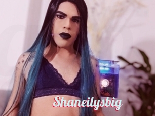 Shaneilysbig