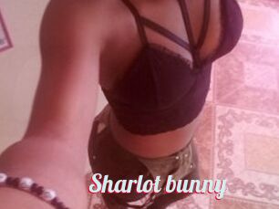 Sharlot_bunny