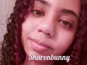 Sharonbunny