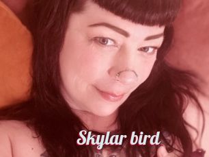 Skylar_bird