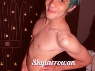 Skylarrowan