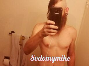 Sodomymike