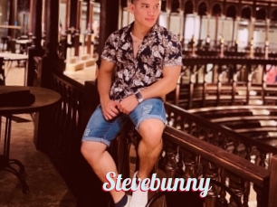 Stevebunny