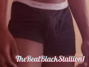 TheRealBlackStallion1