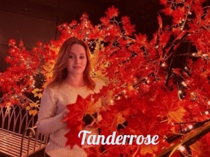 Tanderrose