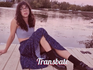 Transbate