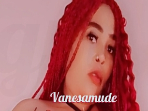 Vanesamude