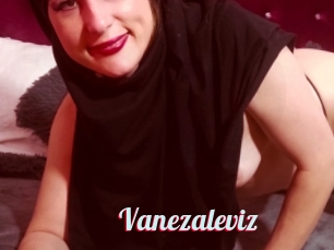 Vanezaleviz