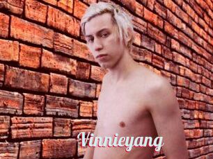 Vinnieyang