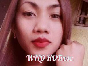 WILD_HOTrose