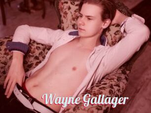 Wayne_Gallager