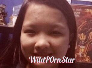 WildP0rnStar