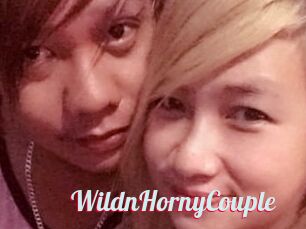 WildnHornyCouple