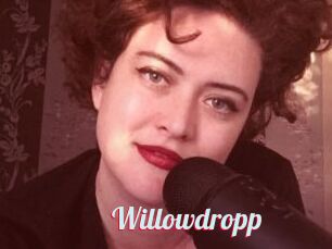 Willowdropp