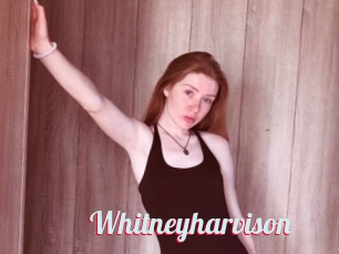 Whitneyharvison