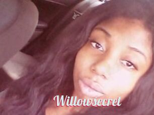 Willow_secret