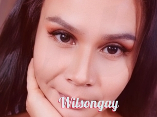 Wilsongay