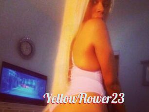 YellowFlower23