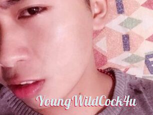 YoungWildCock4u