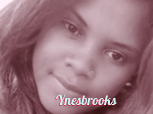 Ynesbrooks